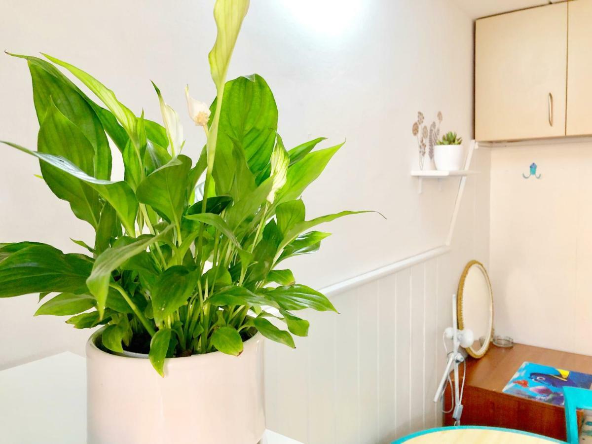 Studio & Free Parking, Aircool, Fresh Bedding Apartment Lovran Ngoại thất bức ảnh